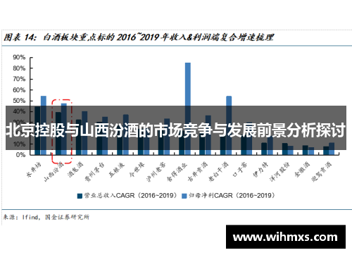 北京控股与山西汾酒的市场竞争与发展前景分析探讨