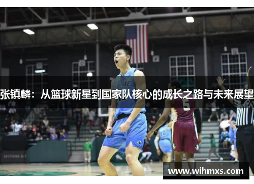 张镇麟：从篮球新星到国家队核心的成长之路与未来展望